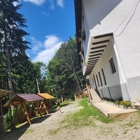 Cabana Valea Bradului Nucşoara Buitenkant foto