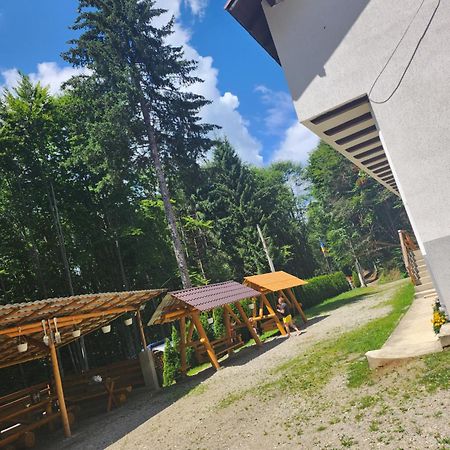 Cabana Valea Bradului Nucşoara Buitenkant foto