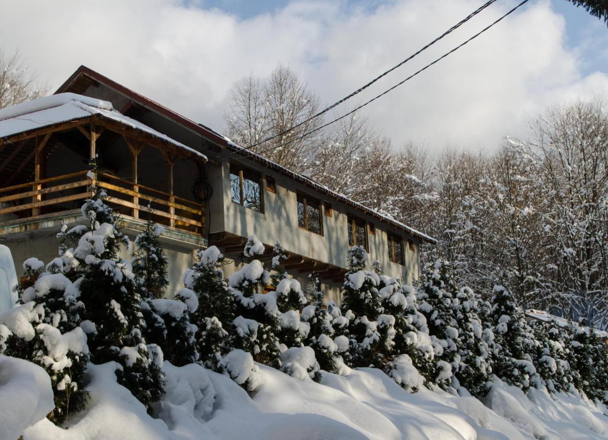 Cabana Valea Bradului Nucşoara Buitenkant foto
