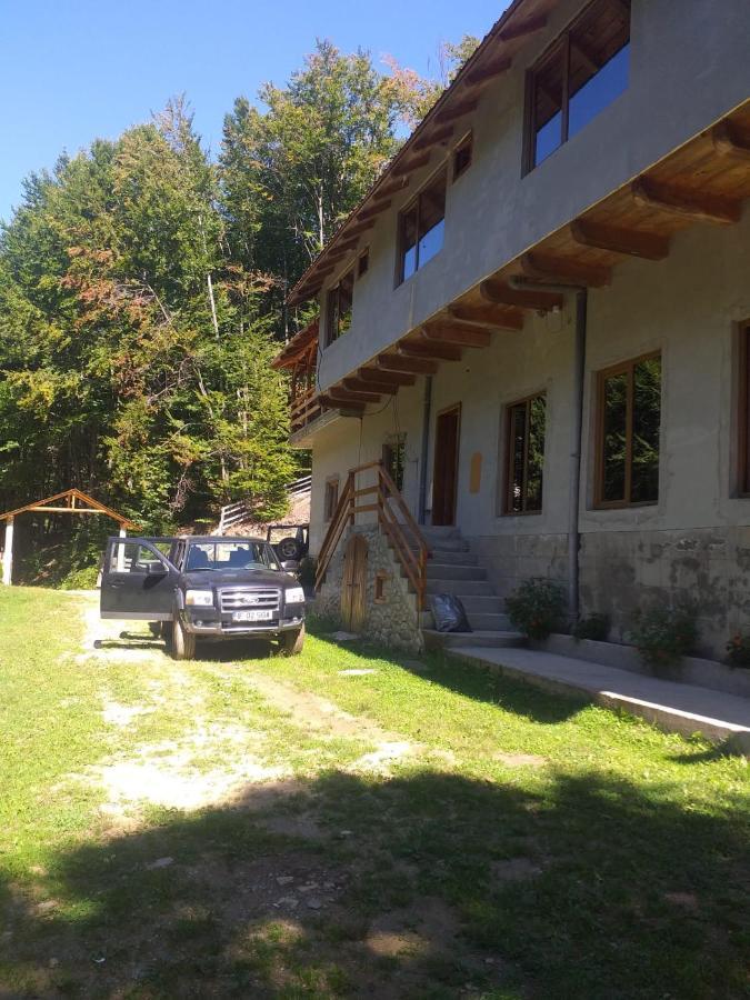 Cabana Valea Bradului Nucşoara Buitenkant foto