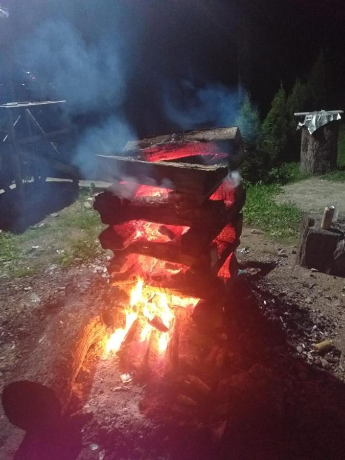 Cabana Valea Bradului Nucşoara Buitenkant foto