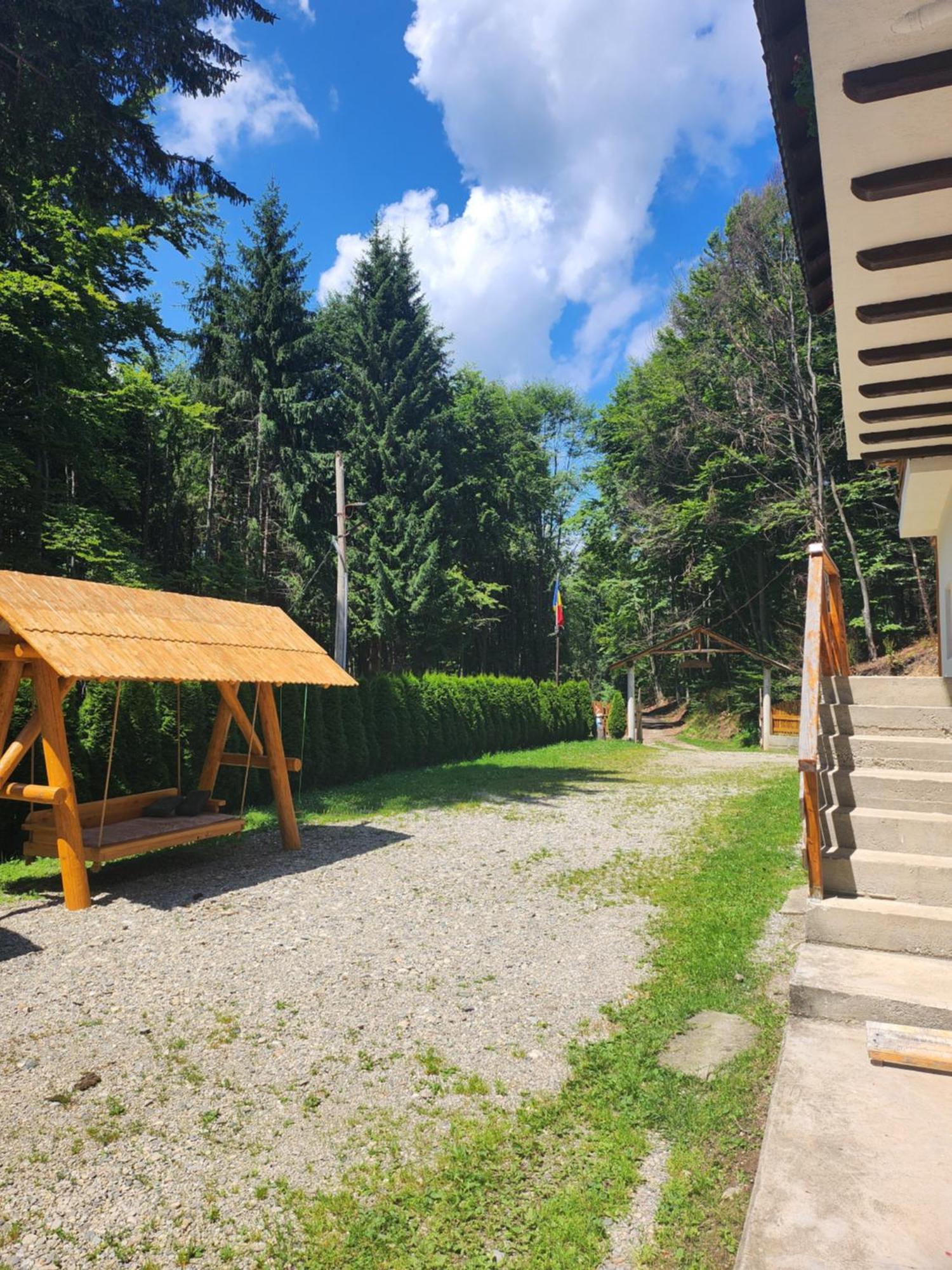 Cabana Valea Bradului Nucşoara Buitenkant foto