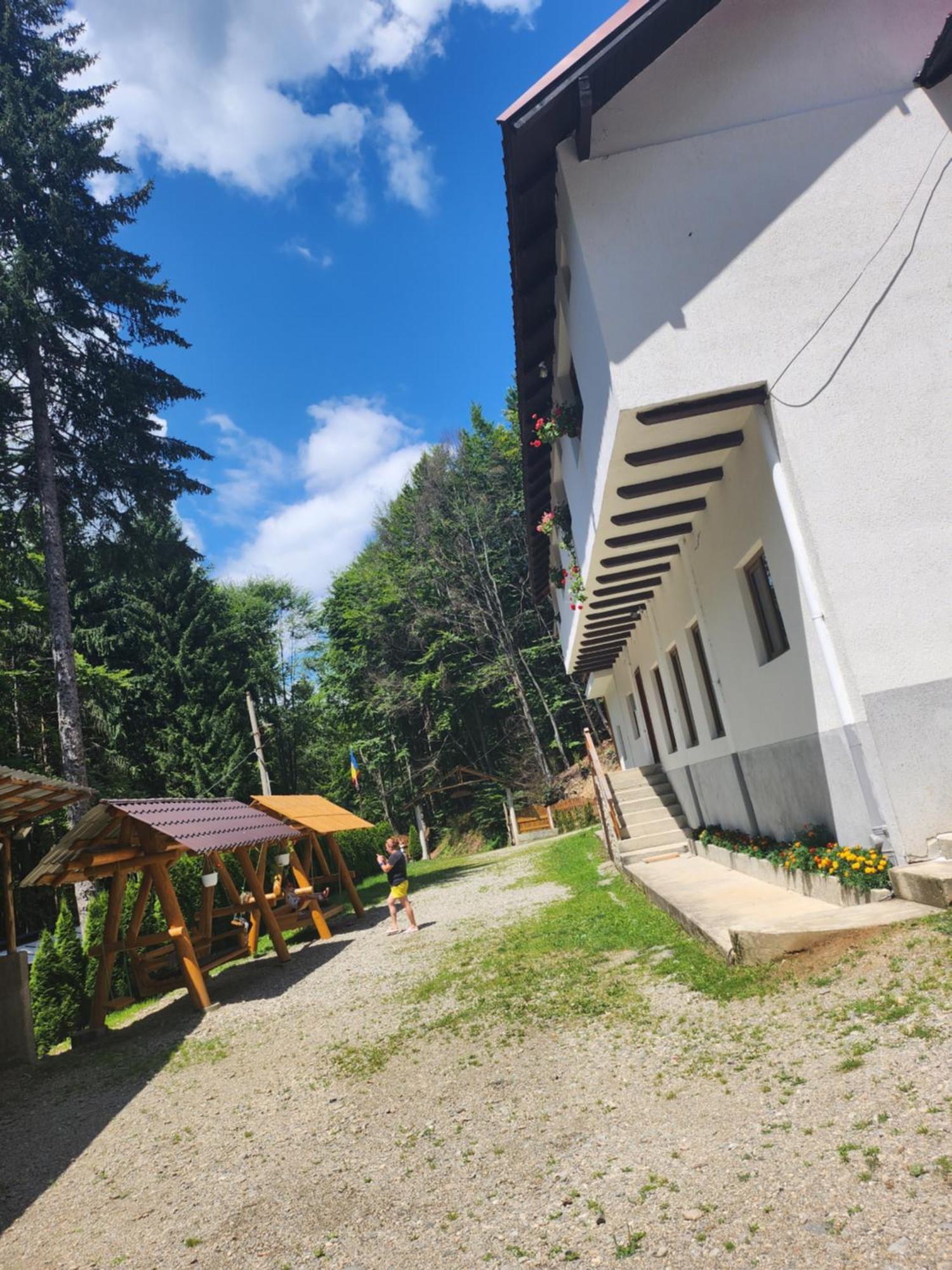 Cabana Valea Bradului Nucşoara Buitenkant foto